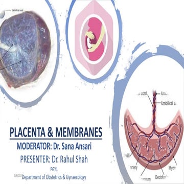 PLACENTA & MEMBRANES.pptx