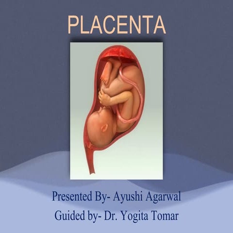 EXAMINATION OF THE PLACENTA.pptx