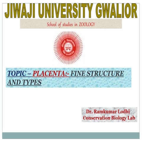 Placenta structure and functions