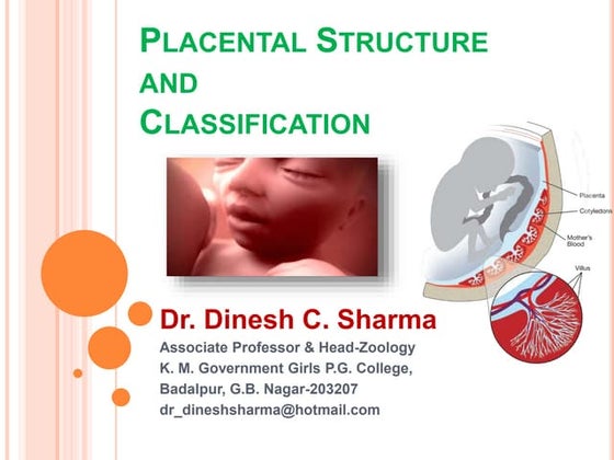 Placentation in mammals | PPTX | Pregnancy | Reproductive Health