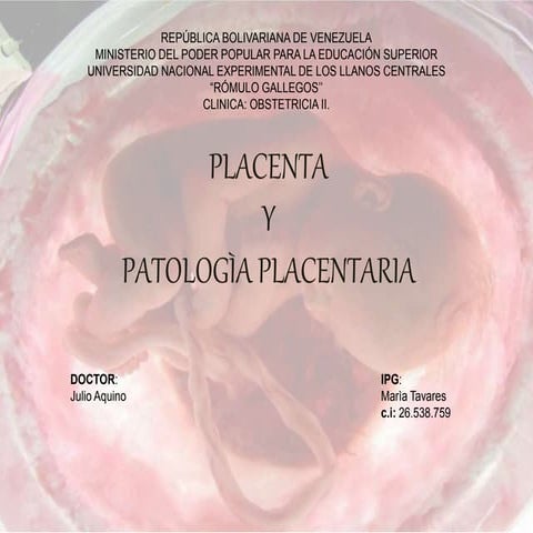 Placenta y patologia placentariax