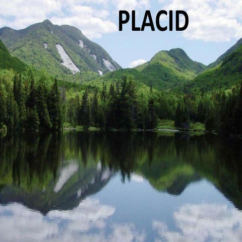 Placid PPT