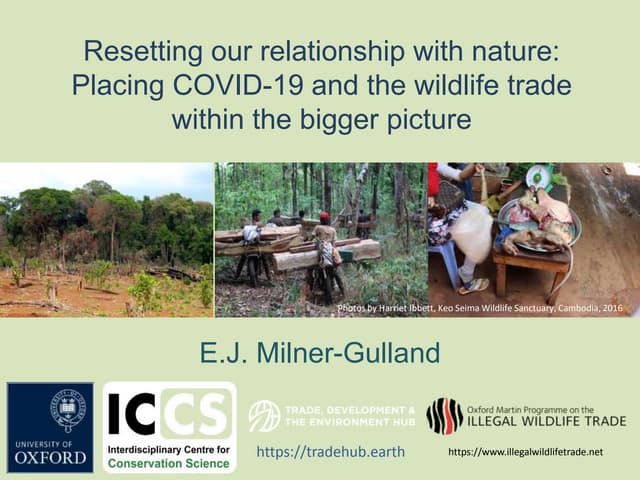 Placing COVID-19 and the wildlife trade within the bigger picture