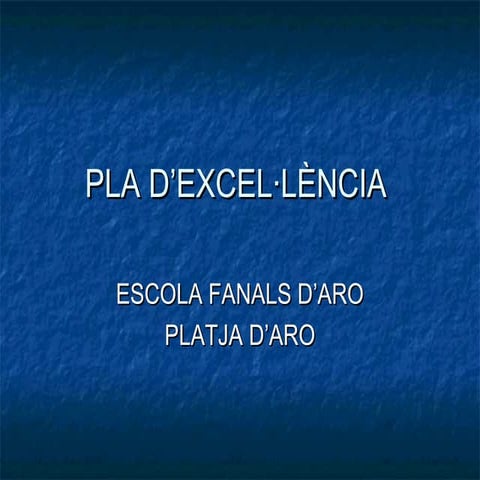 Pla d’excel·lència