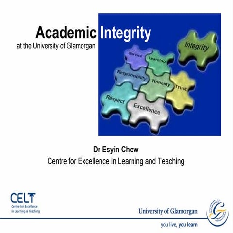 Plagarism + Turnitin   Bus Induction Feb 2010