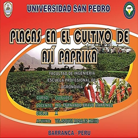 Plagas en Ají Paprika