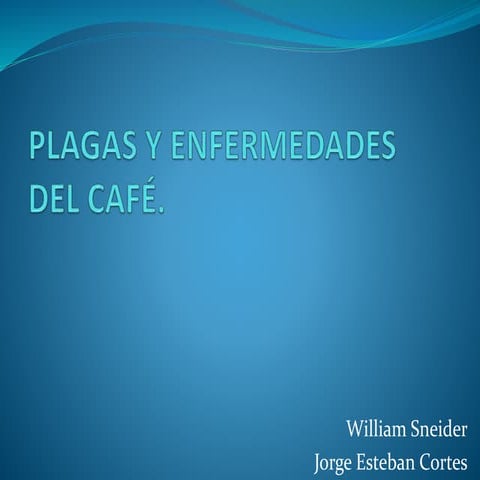 Plagas y enfermedades del café