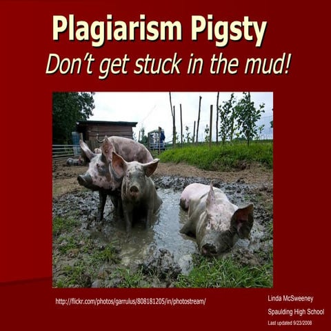 Plagiarism Pigsty
