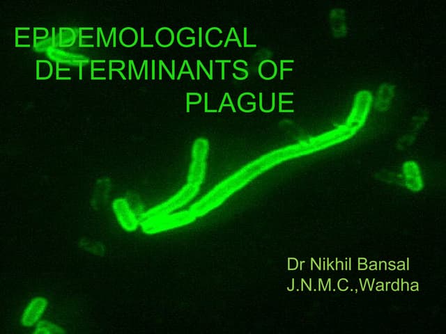 plague-130330140318-phpapp01-