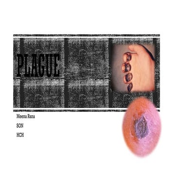 Plague Pptx Septicemic Bubonic Pneumonic Meena Rana Pptx