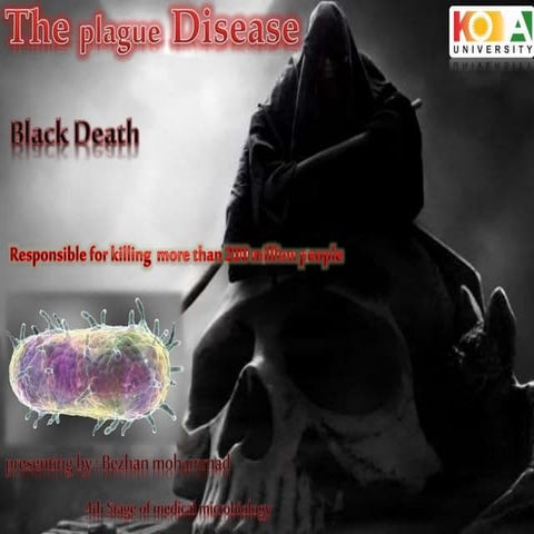 Plague disease