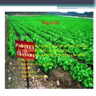 Plaguicidas3113