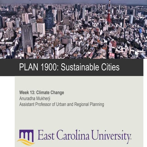 Sustainable Cities: Urban Impacts of Climate Change