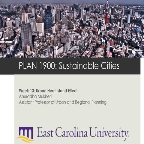Sustainable Cities: Urban Heat Island Effect