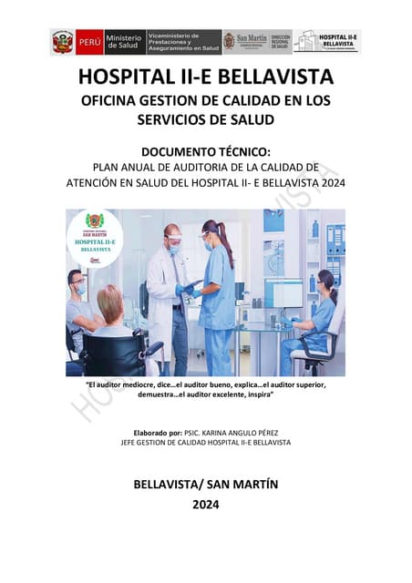 PLAN ANUAL GESTION DE CALIDAD EN LOS SERVICIOS DE SALUD 2025.pdf
