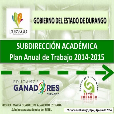Plan anual de trabajo 2014 2015 subdir - ejecutiva.