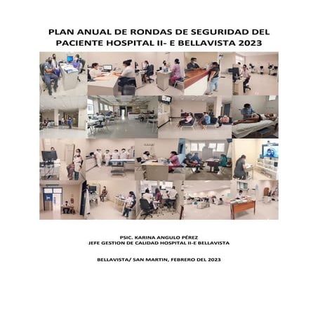 PLAN ANUAL GESTION DE CALIDAD EN LOS SERVICIOS DE SALUD 2025.pdf