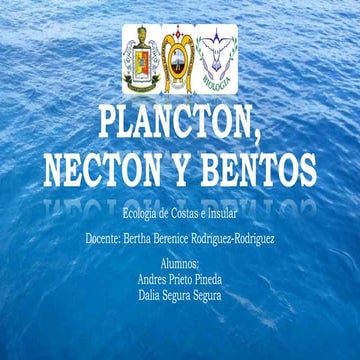 Plancton, Necton y Bentos