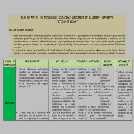 PLAN DE ACCIÓN DE NEE ÁMBITO EDUCATIVO