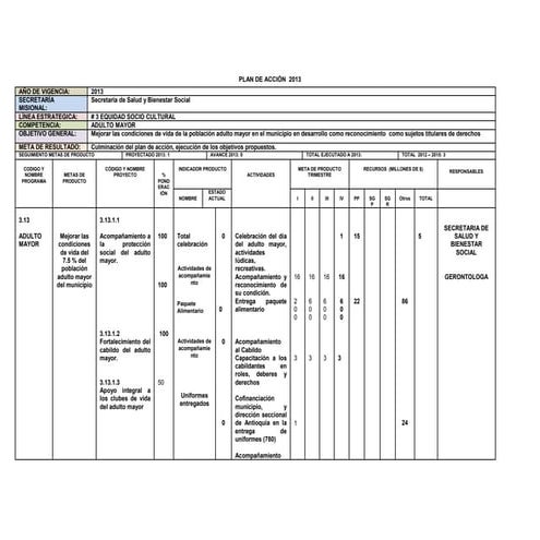Plan de accion salud   2013