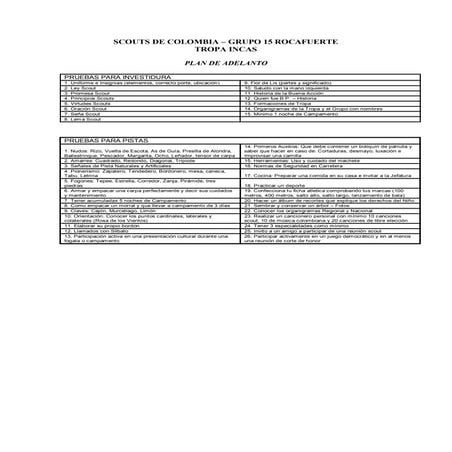 P lan de adelanto investidura y pista