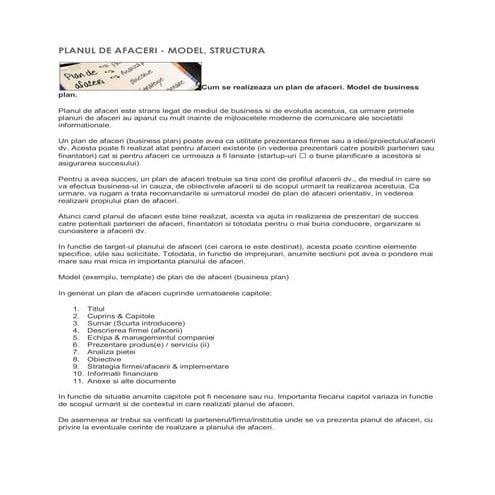 Plan de afaceri