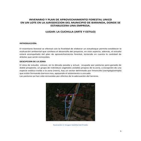 Plan de aprovechamiento forestal unico arte y estilo