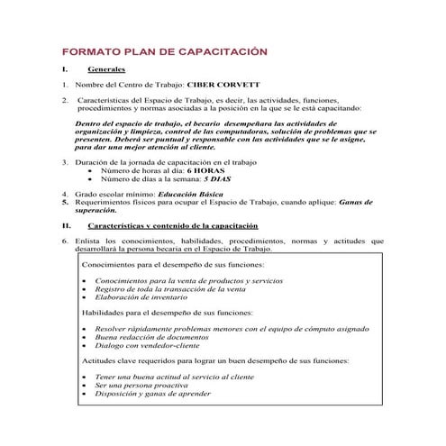 Plan de capacitacion | PDF