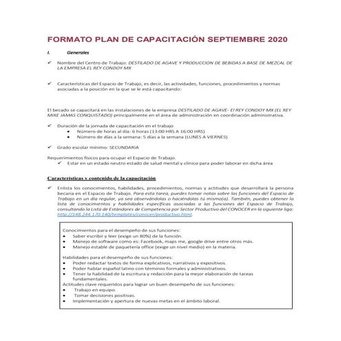 Plan de capacitacion | PDF