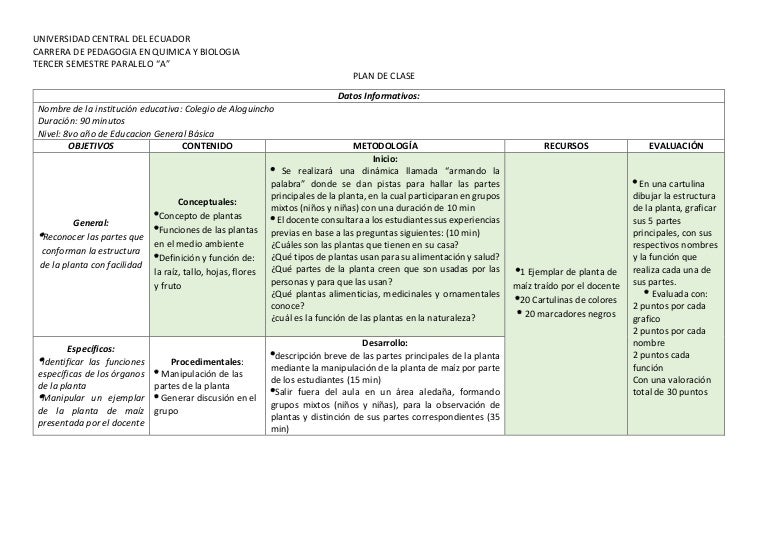 Plan De Clase Partes De La Planta