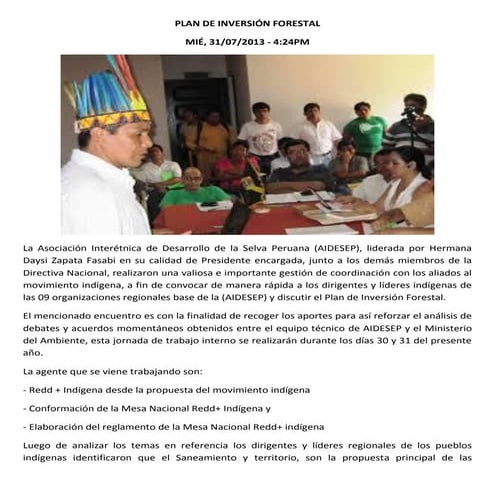 Plan de inversión forestal PARTE 01