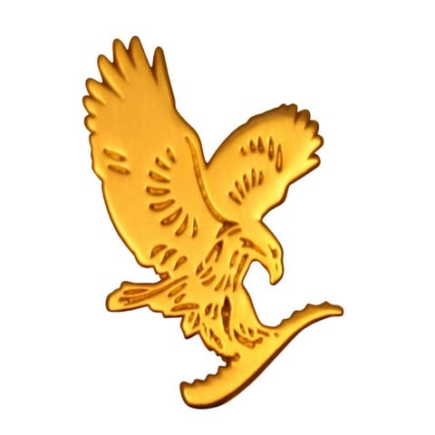 Plan de marketing Froever Living 2012