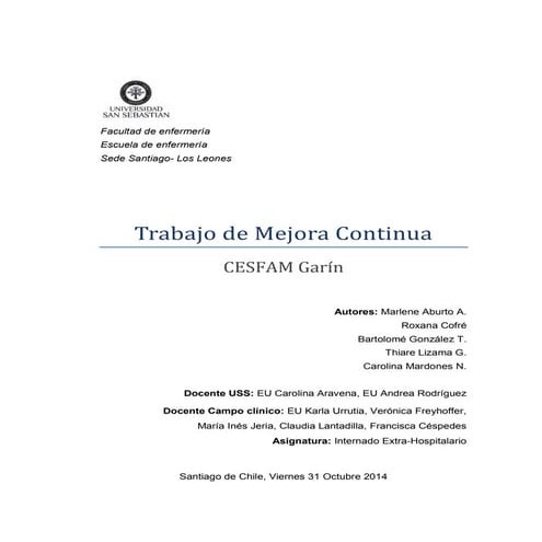 Plan de mejora implementación ficha familiar  en RAYEN CESFAM GARIN 