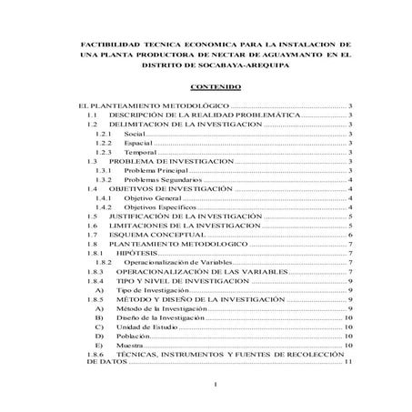 Plan de tesis nectar de aguaymanto