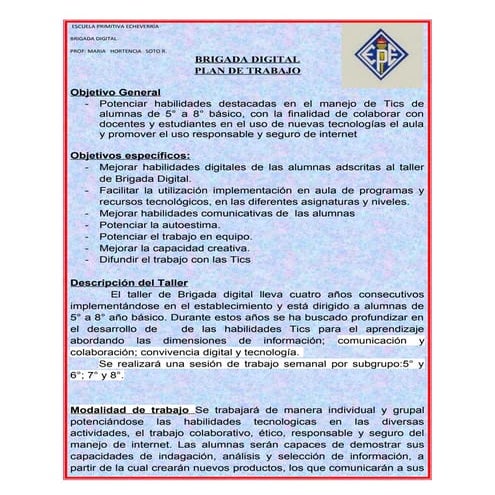 Plan de trabajo  2015 brigada digital 2