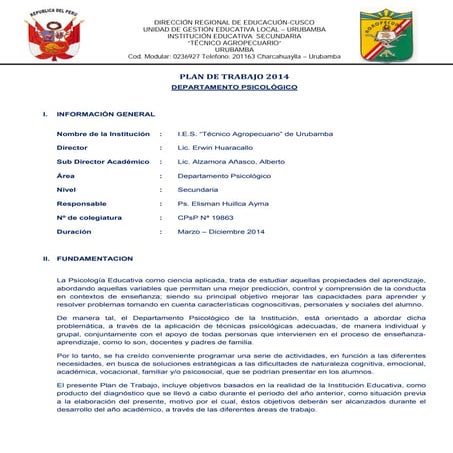 Plan de trabajo del psicologo