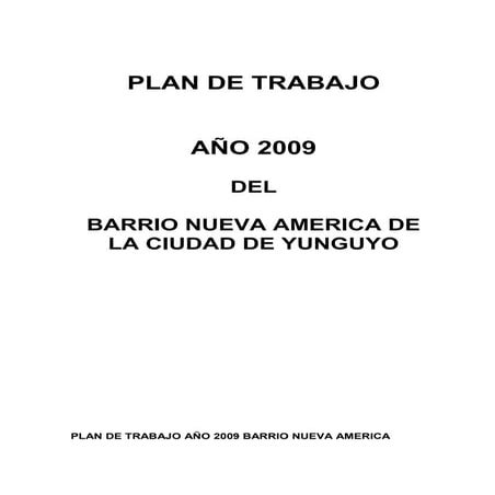 Plan de trabajo barrio nueva america 2009