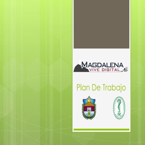 Plan de trabajo magdalena digital