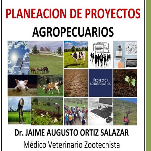 Planeacion proyecto agropecuario