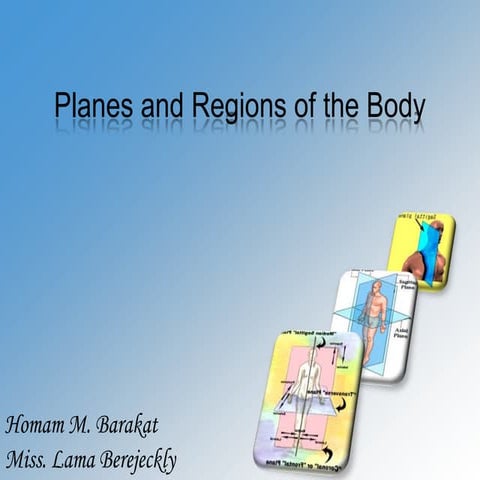 Planes and regions of the body