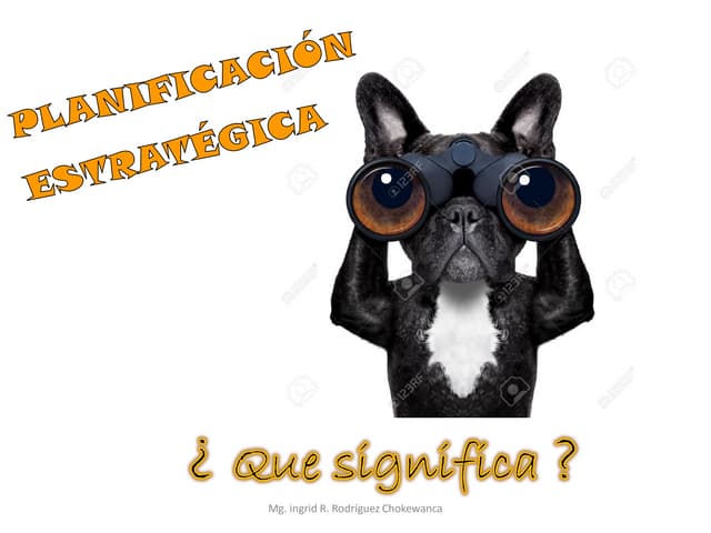 Pla nestrategico 2017