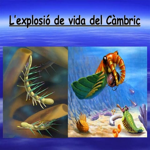 L'explosió de vida del Càmbric