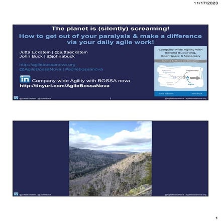 Agilists, the planet is (silently) screaming!