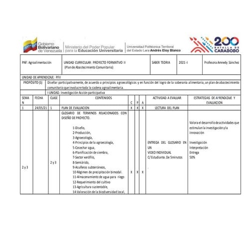 Plan evaluacion pfii teoria   copia