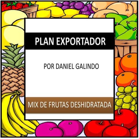 Plan exportador
