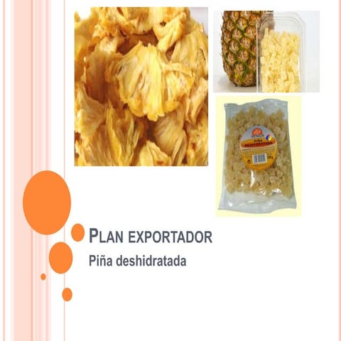 presentacion industrailizacin de la piña-2.pdf