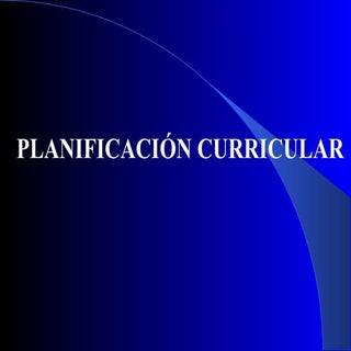 Planificacion Curricular