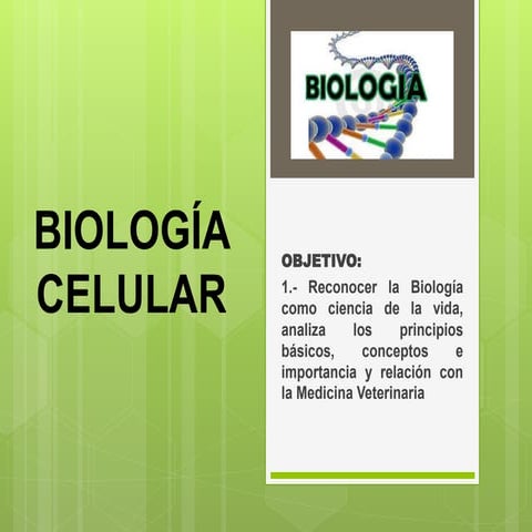 Planificación académica biología