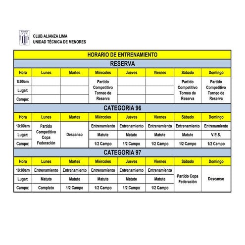 PLANIFICACION DEL TRABAJO POR CATEGORIAS