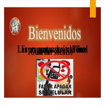 exposicion consultoria de procesos, equipo paralelo planificacion estrategica